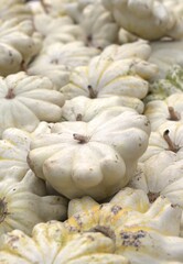 close-up of pile of white squash arranged in random overlapping pattern, blurry background. autumn harvest and abundance, farm-to-table, farm-fresh produce, healthy eating, organic farming concept