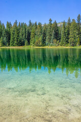 Eagle County Emerald Lake with coniferous trees and mirror sky reflection on water surface pristine vertical view