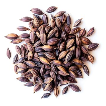 Ambada Seed isolated on a with a white background, close up