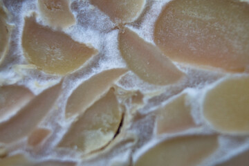 texture of tempeh slices