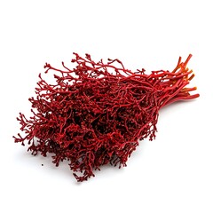 Naklejka premium Amranthas Red isolated on a with a white background, close up