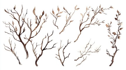 Obraz premium Hand drawn branches in watercolor Suitable for use in invitations save the date cards and various other creative projects