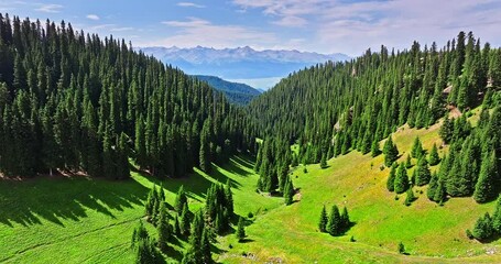 Green grassland and forest with mountain natural landscape in Kalajun grassland, Xinjiang. Kalajun Grassland is one of the most famous grasslands in China.