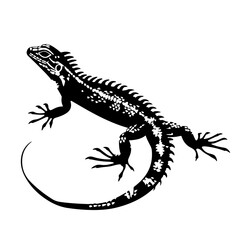 Obraz premium Spiny tailed Lizard Vector Logo