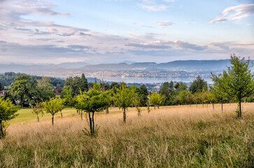 Zurich, Switzerland - July 26, 2024: Views from the hilltop Sorell Park in Zurich Switzerland
