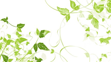 Obraz premium Elegant Vine White Background Picture: A Touch of Natural Beauty
