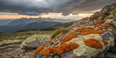 Obraz premium Vibrant Orange Lichen on Rocky Terrain Overlooking Majestic Mountains Under a Dramatic Cloudy Sky Bathed in Afternoon Light for a Striking Minimalist Landscape Photography
