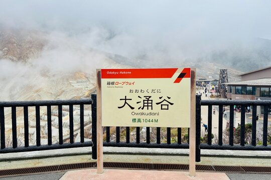Complete Collection of Hakone, Four-Color Halftone, Set of