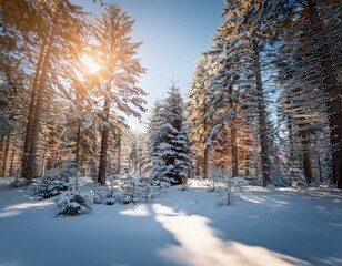 Fototapeta premium Fresh Snow and Blue Sky