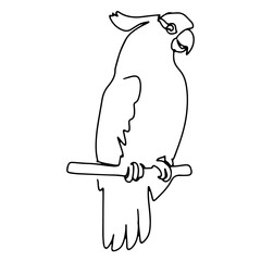 Pet Animal Vector Line Art Graphic Design Decoration