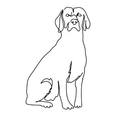 Fototapeta premium Pet Animal Vector Line Art Graphic Design Decoration