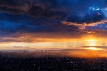 なるかわ園地から見た大阪の街の夕景