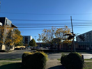 Naklejka premium street
