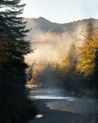 Swift River View