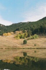 Fall in Colorado shot on film