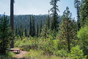 A picnic table at a campsite at the Jerry Johnson campground near Powell Junction, Idaho, USA