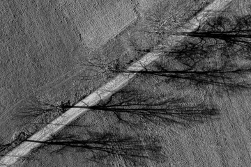 Wiejska droga, cien drzew  © Maciej G. Szling