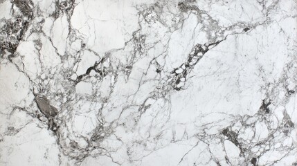 Obraz premium A detailed view of a light marble slab featuring intricate gray veining across its surface