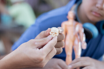 Asian schoolboys are holding mini plastic model of internal organs and sticking them into the model of the human in front of them, science study of body and organs of the human concept.