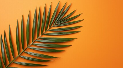 Obraz premium Tropical Palm Leaf on Orange Background Summer Design Element