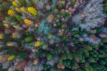 Beskid Sądeckie, Muszyna wieża widokowa © Maciej G. Szling