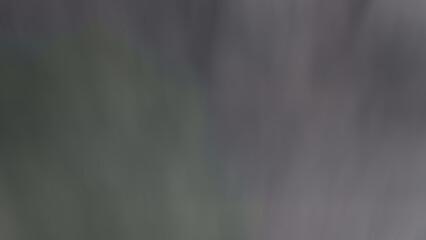 Abstract Background, Old Bamboo Used To Thatch Greenhouse Roofing Gradient Black Tone Blurred Around House For Planting Ornamental Plants Thailand, Plants, Flowers, Trees, Nature, Black, Sky, Macro, 