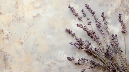 Dried lavender flowers background on a soft pastel surface,Space for add text