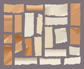 Vector illustration in a flat drawing style shows a collection of torn paper pieces in various shades of beige and brown