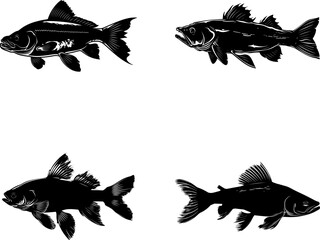 Coelacanth silhouette vector illustration clipart
