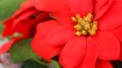 Colorful artificial flowers that blend with beautiful natural colors