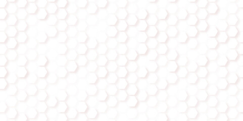 White Hexagonal Background. Luxury White Pattern. geometric mesh cell texture. modern