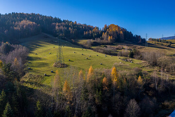 Jesienny las © Maciej G. Szling