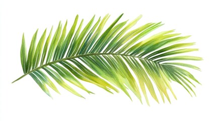 Obraz premium Isolated tropical palm leaf frame on a white background Watercolor illustration created by hand