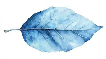 Isolated blue watercolor leaf on a white background using a loose watercolor technique