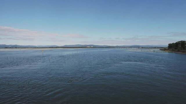 牡蠣養殖棚の杭が並ぶ浜名湖の風景