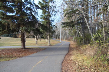 Fototapeta premium path in the park