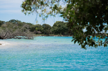paisaje del mar y arboles en verano 