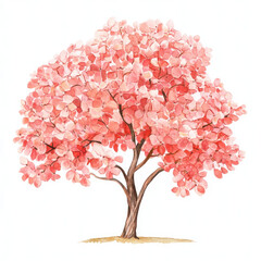 Fototapeta premium Watercolor Soft Pink Pawpaw Tree Illustration