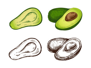 Hand-drawn colored and monochrome avocado sketches set. Vintage drawing of ripe avocados. Vector black ink outline food illustration. Mexican food, cuisine, Latin America. Illustration for the menu.