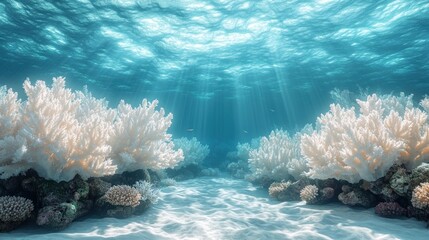 Underwater scene with coral reefs illuminated by sunlight.