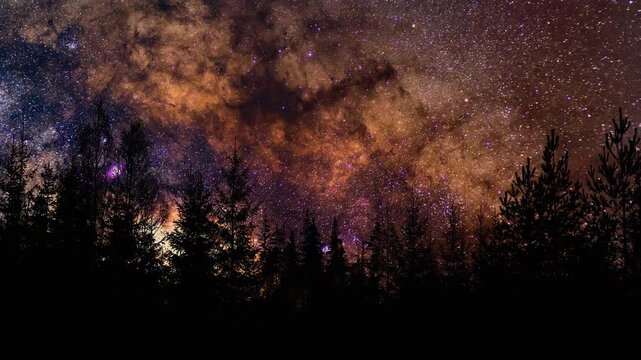 A super sky at night over the treetops.