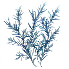 Naklejka premium Watercolor Charming Blue Sagebrush Leaves Illustration