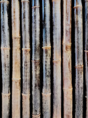 Dark brown bamboo fence texture as background