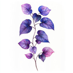 Watercolor Delightful Purple Sweet Potato Leaves Illustration