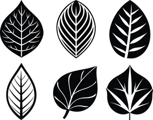 set of leaves silhouettes,  collection leaf icon vector black 