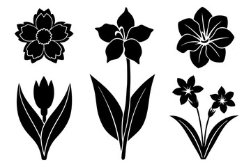 6 vector silhouette icon set of Ranunculus, Buttercup, Snowdrop, Heather, Larkspur, Delphinium