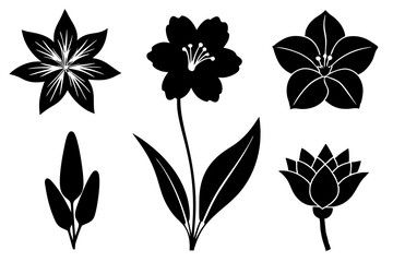 6 vector silhouette icon set of Ranunculus, Buttercup, Snowdrop, Heather, Larkspur, Delphinium