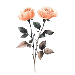 Watercolor Delicate Peach Roses Children Illustration