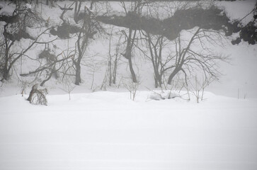 午後の雪原