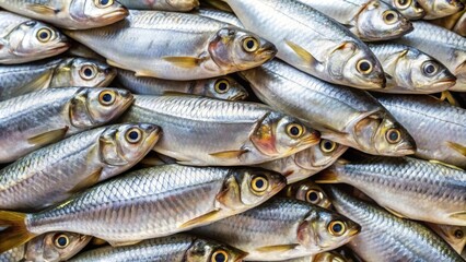 Obraz premium Pile of fresh milkfish with silver scales, milkfish, seafood, pile, fresh, silver scales, fish market, ocean